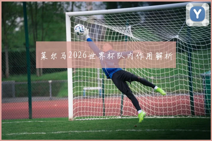 莱尔马2026世界杯队内作用解析