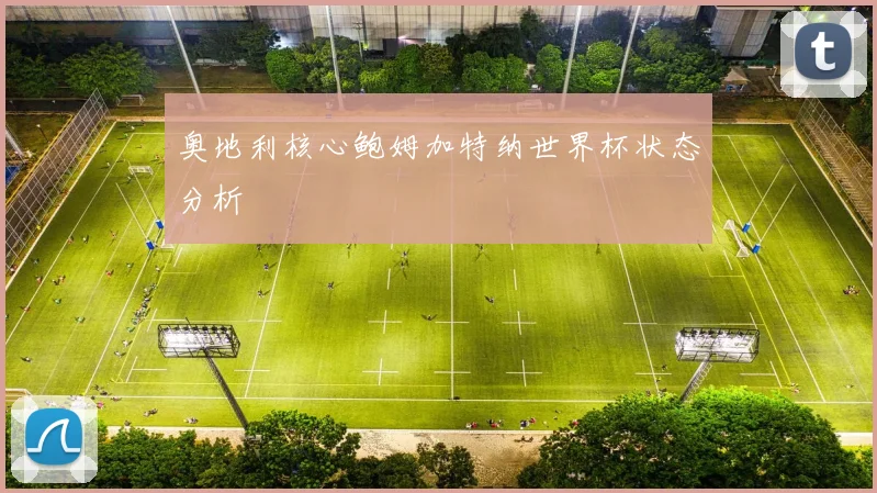 奥地利核心鲍姆加特纳世界杯状态分析