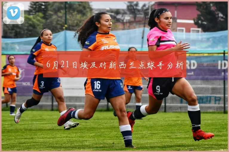 6月21日埃及对新西兰点球手分析