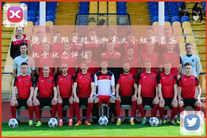 德米罗维奇对阵加拿大小组赛首发机会状态评估
