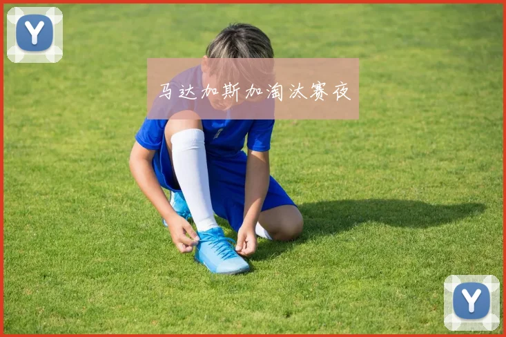 马达加斯加淘汰赛夜