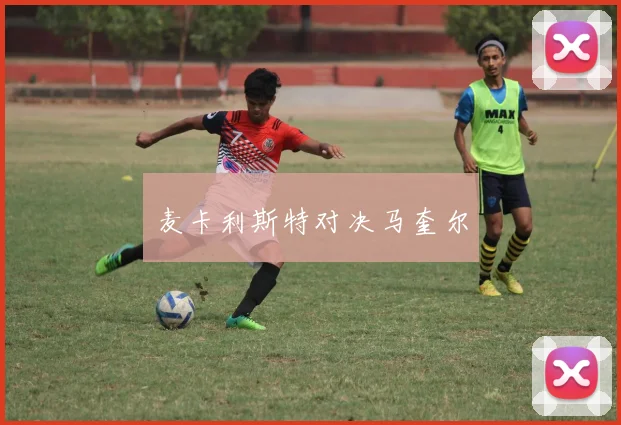 麦卡利斯特对决马奎尔