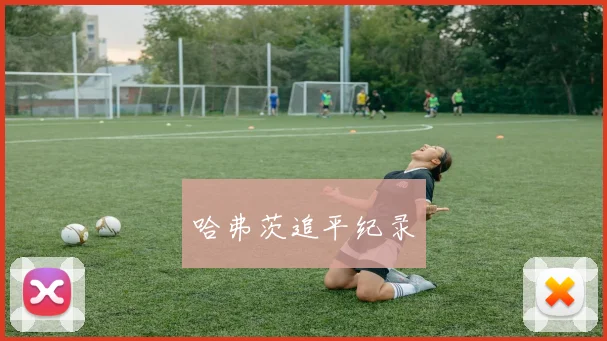 哈弗茨追平纪录
