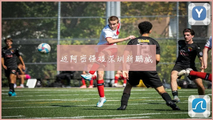 迈阿密强碰深圳新鹏城