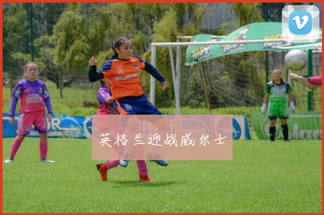 英格兰迎战威尔士