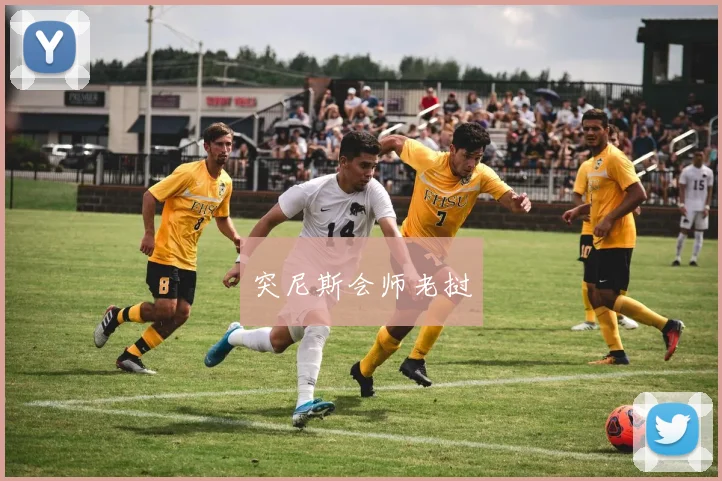 突尼斯会师老挝