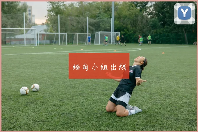 缅甸小组出线