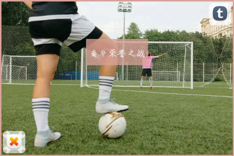 南非荣誉之战