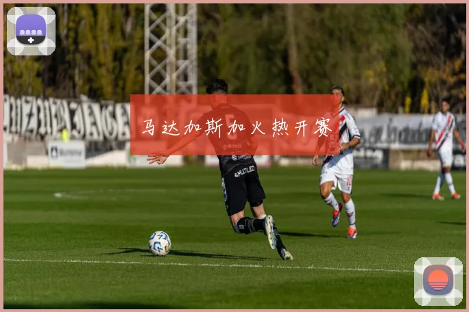 马达加斯加火热开赛
