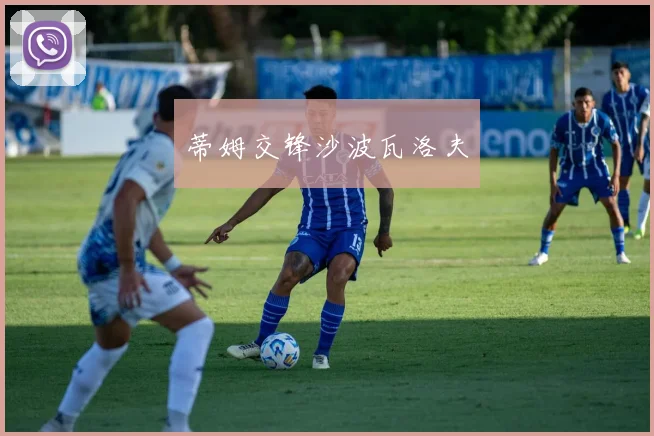 蒂姆交锋沙波瓦洛夫