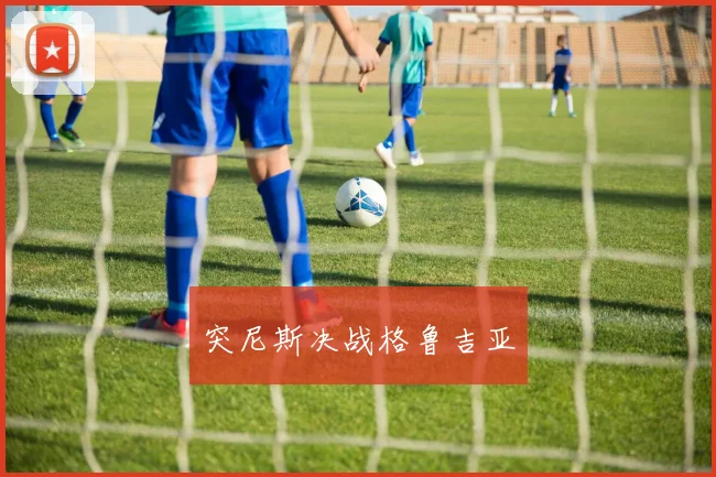 突尼斯决战格鲁吉亚