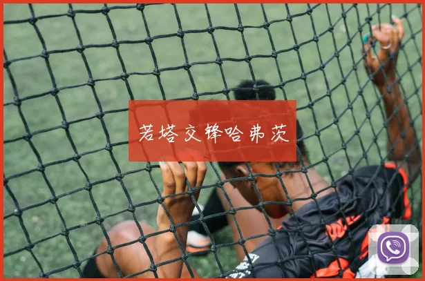 若塔交锋哈弗茨