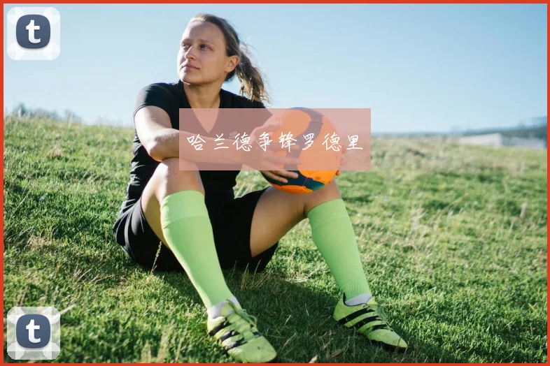哈兰德争锋罗德里