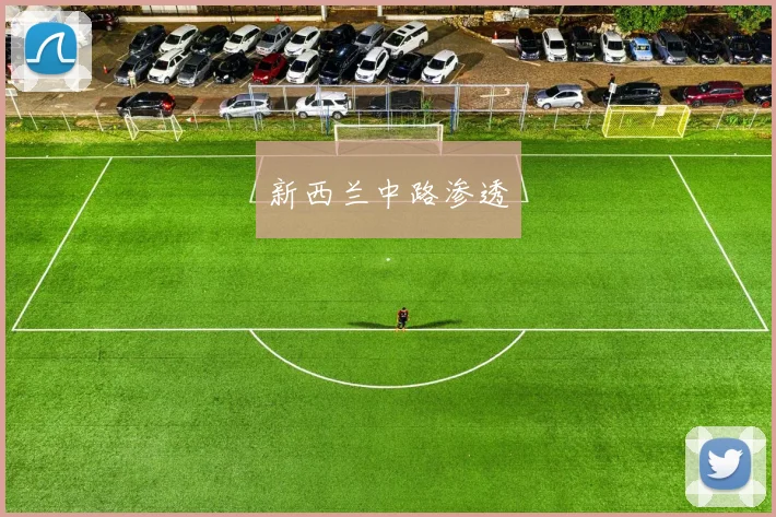 新西兰中路渗透