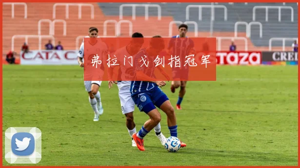 弗拉门戈剑指冠军