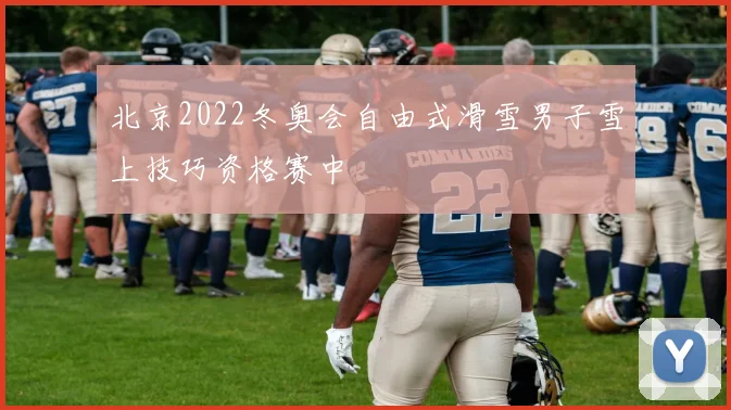 北京2022冬奥会自由式滑雪男子雪上技巧资格赛中