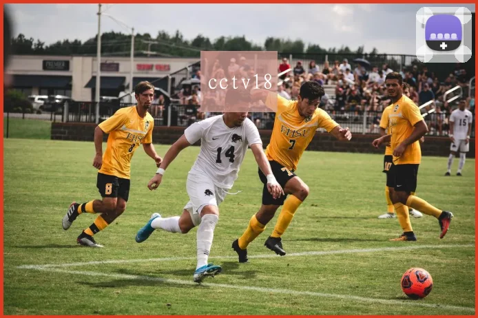 cctv18