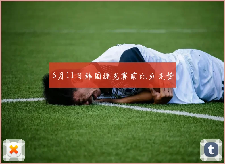6月11日韩国捷克赛前比分走势