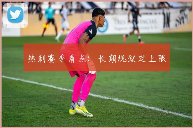 热刺赛季看点:长期规划定上限