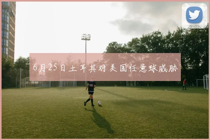 6月25日土耳其对美国任意球威胁
